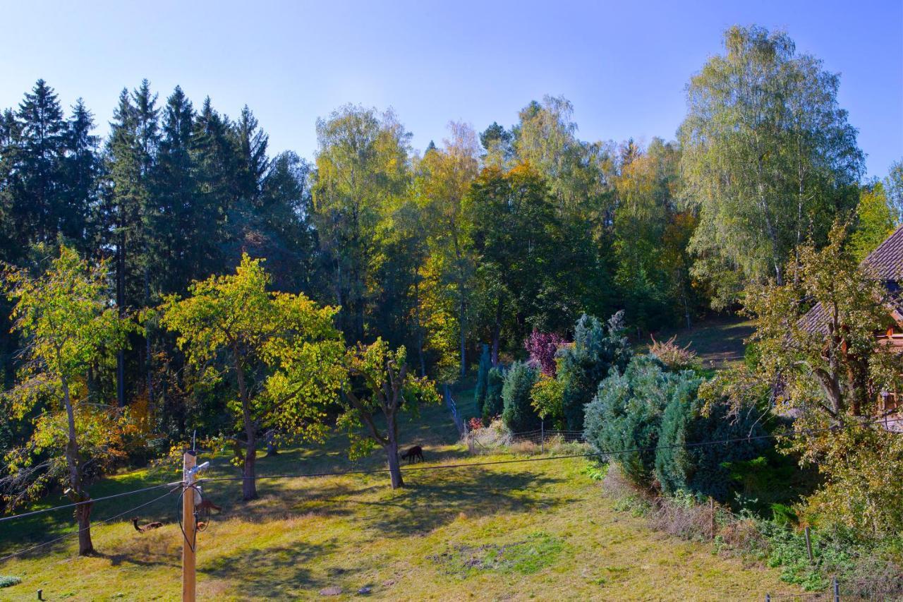 Pension Haus Fuerstenberg Gruenhain-Beierfeld Экстерьер фото