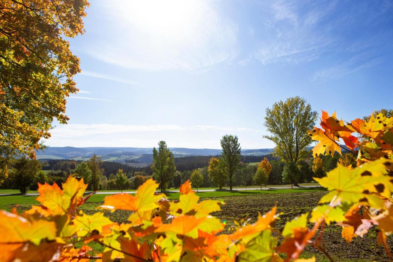 Pension Haus Fuerstenberg Gruenhain-Beierfeld Экстерьер фото